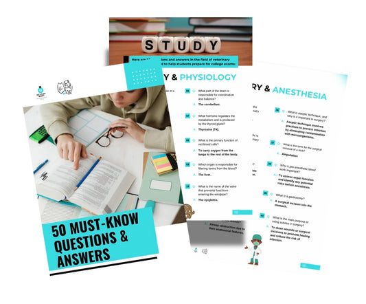 50 Must-Know Questions and Answers