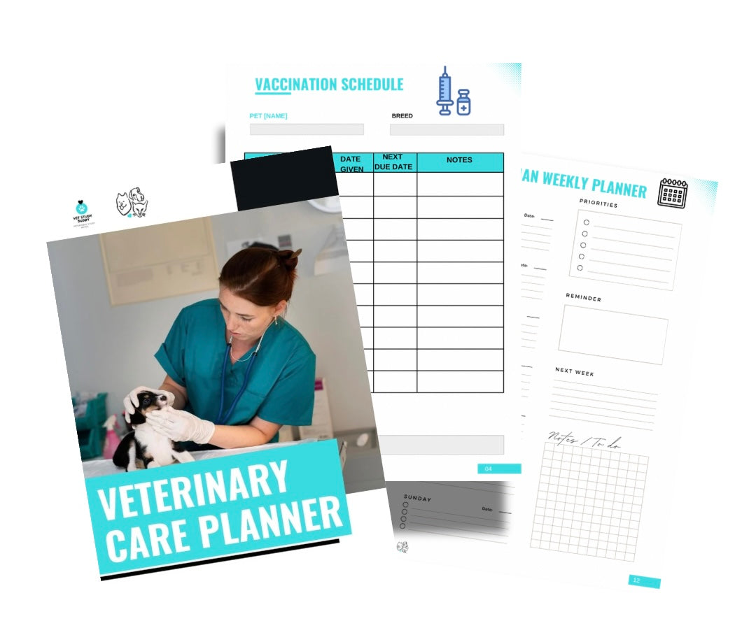 Vet Study Notes Bundle