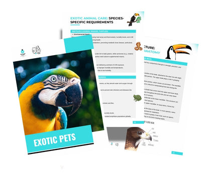 Vet Study Notes Bundle