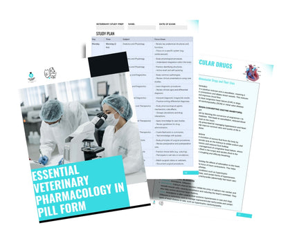 Vet Study Notes Bundle