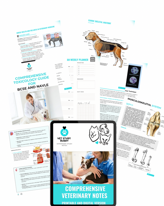 Vet Study Notes Bundle